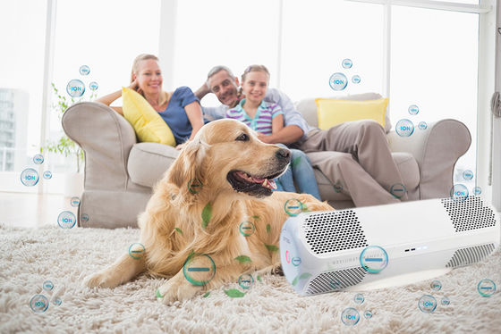 АБС воздушный дезинфектор с частной плесенью убивает вирусы гриппа H1N1 бактерии грибки OEM/ODM