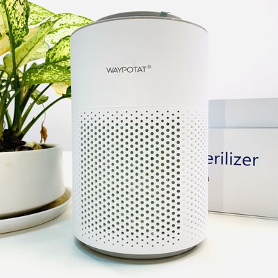 Белый ионный очиститель воздуха Плазменный очиститель воздуха Плазменный ионизатор 55Db