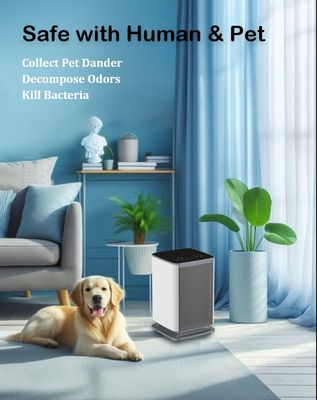 4.2кг Очиститель для дезинфекции воздуха Чистый и здоровый воздух при напряжении DC12V с сертификациями FCC