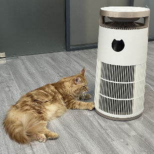 Очиститель воздуха VDETTE HP01 с озоном и HEPA фильтром, таймером, 220В, белый